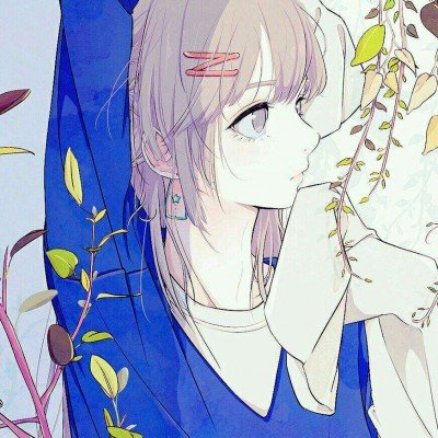 挂科改分被骗近30万